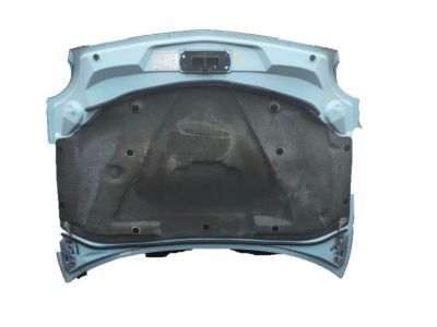 2002 Ford Thunderbird Hood - 1W6Z-16612-AA