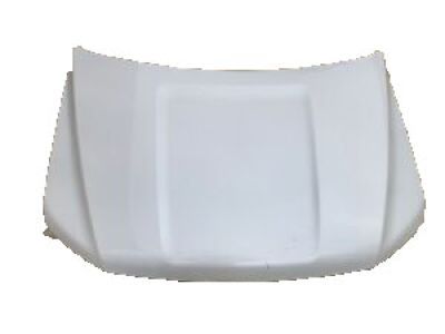 2021 Ford Expedition Hood - JL1Z-16612-A