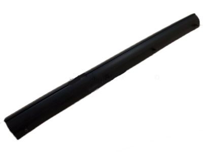 Ford 1C3Z-28253A24-A Weatherstrip - Door - Lower