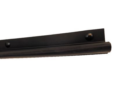 Ford 1C3Z-28253A24-A Weatherstrip - Door - Lower