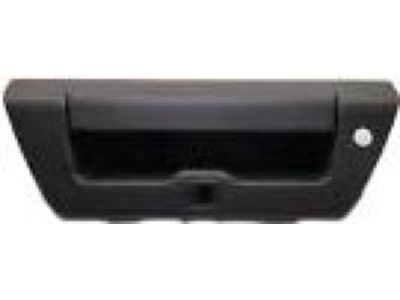 Ford Tailgate Handle - FL3Z-9943400-BA