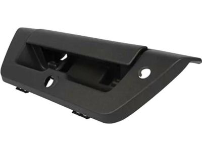 Ford Tailgate Handle - FL3Z-9943400-BA