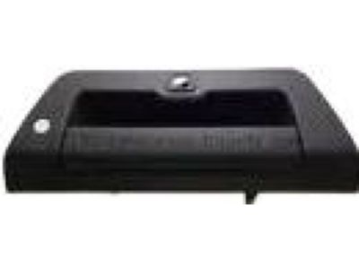 Ford Tailgate Handle - FL3Z-9943400-BA