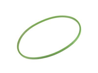 2004 Ford Expedition Fuel Pump Seal - 1L2Z-9417-AA