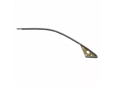 2002 Lincoln Town Car Door Moldings - F8VZ-5420846-AA