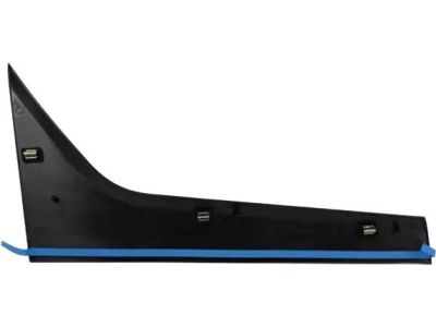 DT1Z-1720938-AA Ford Moulding - Door Outside Product Photo 2 of 5