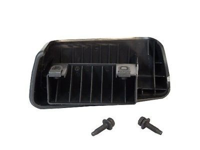Ford CL3Z-16A455-AA Step Assembly
