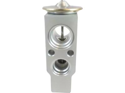 Ford Expedition A/C Expansion Valve - 6L1Z-19849-B