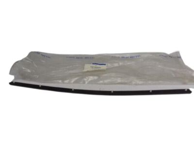 Ford 2L8Z-16A238-BA Weatherstrip