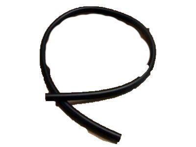 Ford Thunderbird Weather Strip - 1W6Z-7620758-AB