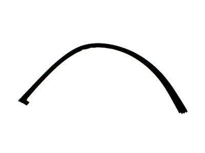 1998 Ford F-150 Door Seal - F65Z-15253A36-AA