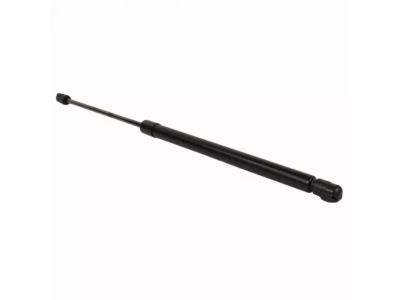 Ford EcoSport Lift Support - FN1Z-74406A10-C
