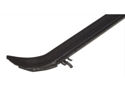 Ford F2TZ-1521456-A Weatherstrip - Door Belt