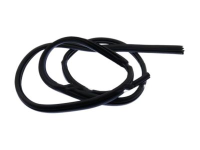 Ford Escape Door Seal - CJ5Z-78253A10-B