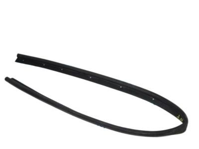 Lincoln MKC Weather Strip - EJ7Z-16B990-A