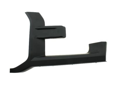 Ford HL3Z-17C755-BPTM Moulding - Bumper Bar