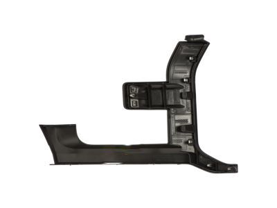 Ford HL3Z-17C755-BPTM Moulding - Bumper Bar