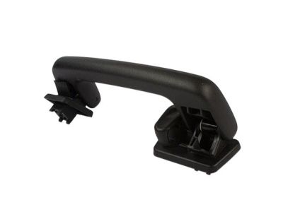 Ford DG1Z-5431407-CB Handle - Assist