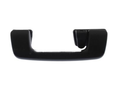 Ford DG1Z-5431407-CB Handle - Assist