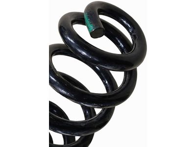 Ford F-250 Super Duty Coil Springs - HC3Z-5310-B