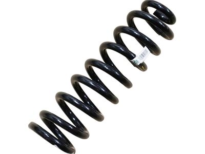 Ford F-250 Super Duty Coil Springs - HC3Z-5310-B