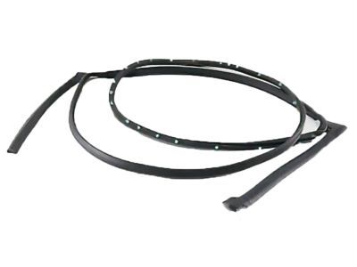 2018 Ford Flex Weather Strip - AA8Z-7425324-B