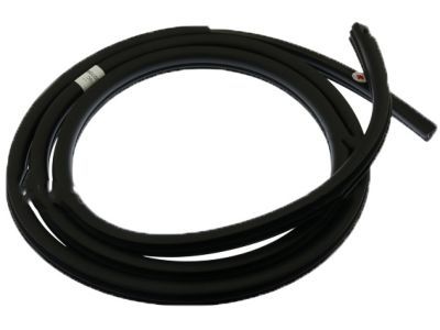 BL3Z-1520709-B Ford Door Opening Weatherstrip Assembly Product Photo 1 of 1