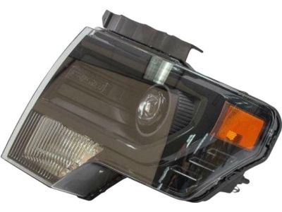 2013 Ford F-150 Headlight - DL3Z-13008-FBCP