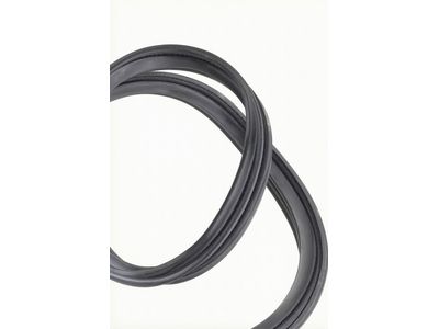 Ford Bronco Sport Weather Strip - M1PZ-7843720-A