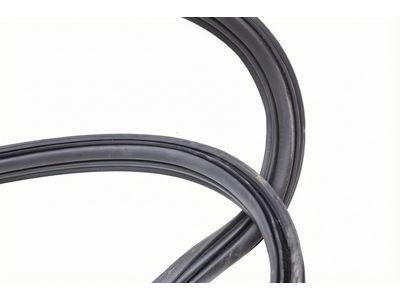 Ford Bronco Sport Weather Strip - M1PZ-7843720-A