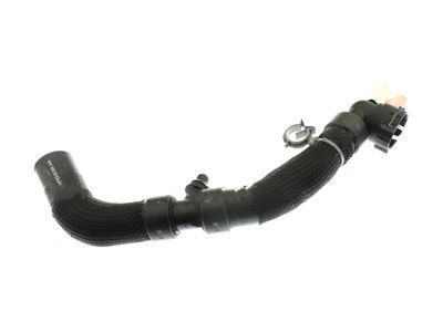2019 Lincoln MKZ Cooling Hose - HP5Z-8286-A