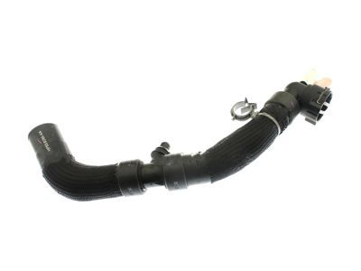 Ford HP5Z-8286-A Hose - Radiator