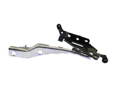 Ford FL3Z-16796-A Hinge Assembly - Hood