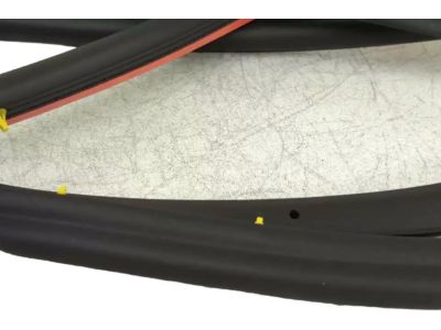 2013 Ford C-Max Door Seal - AM5Z-5820709-B