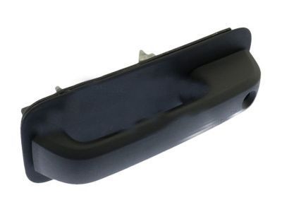 Ford FL3Z-1522404-BG HANDLE ASY - DOOR - OUTER