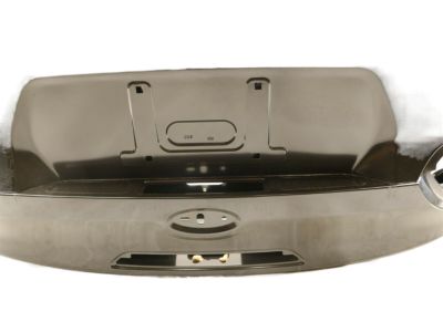 Ford F1EZ-5440110-A Door Assembly - Luggage Compartment