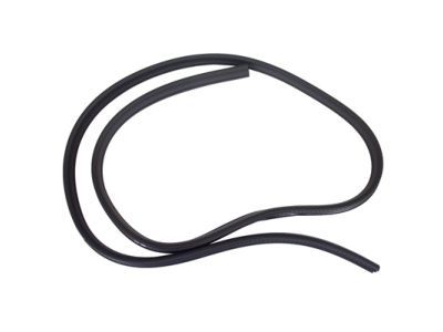 Ford CV6Z-5825324-A Weatherstrip