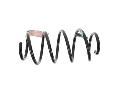 Lincoln Coil Springs - JG9Z-5310-F