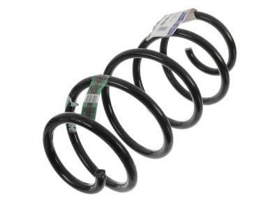 Lincoln Coil Springs - JG9Z-5310-F