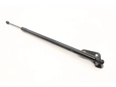 Ford Expedition Lift Support - NL1Z-78406A11-A