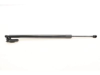 Ford Expedition Lift Support - NL1Z-78406A11-A
