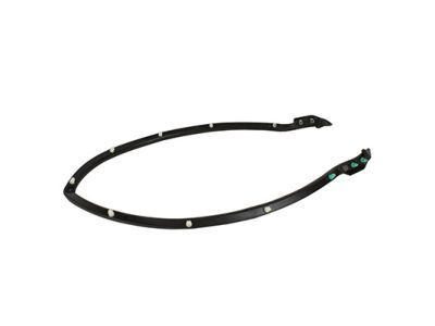2016 Ford Mustang Weather Strip - FR3Z-16A238-A