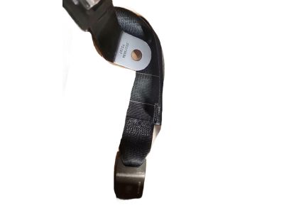 2002 Ford F-350 Super Duty Seat Belt - 2C3Z-25611B60-CAA