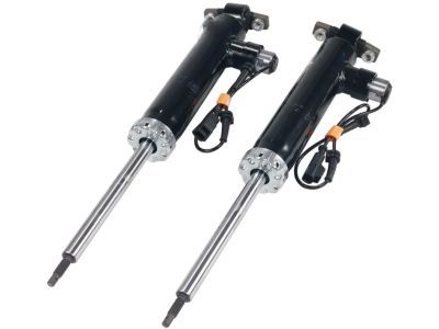 Ford EG9Z-18125-C Shock Absorber Assembly