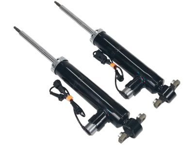 Ford EG9Z-18125-C Shock Absorber Assembly