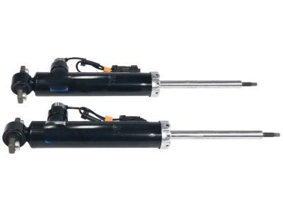 Ford EG9Z-18125-C Shock Absorber Assembly