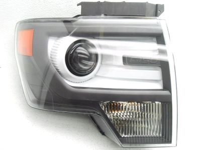 Ford DL3Z-13008-CB Lamp Assembly