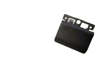 2006 Ford GT Door Handle - F81Z-2522601-BA