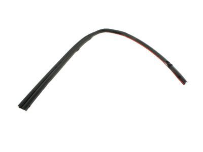 2010 Ford Ranger Weather Strip - 8L5Z-1051222-A