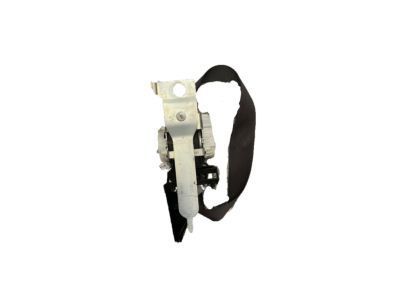 Ford 7L1Z-78611B09-AA Seat Belt Assembly